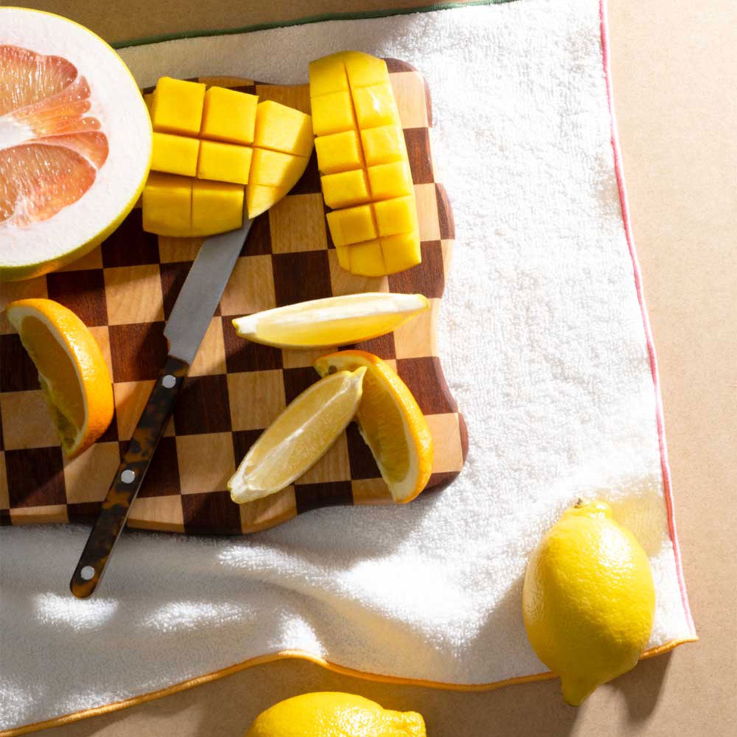 Macaw Terrycloth Dish Towels | Set of 4 TEA TOWELS ATELIER SAUCIER - Atelier Saucier