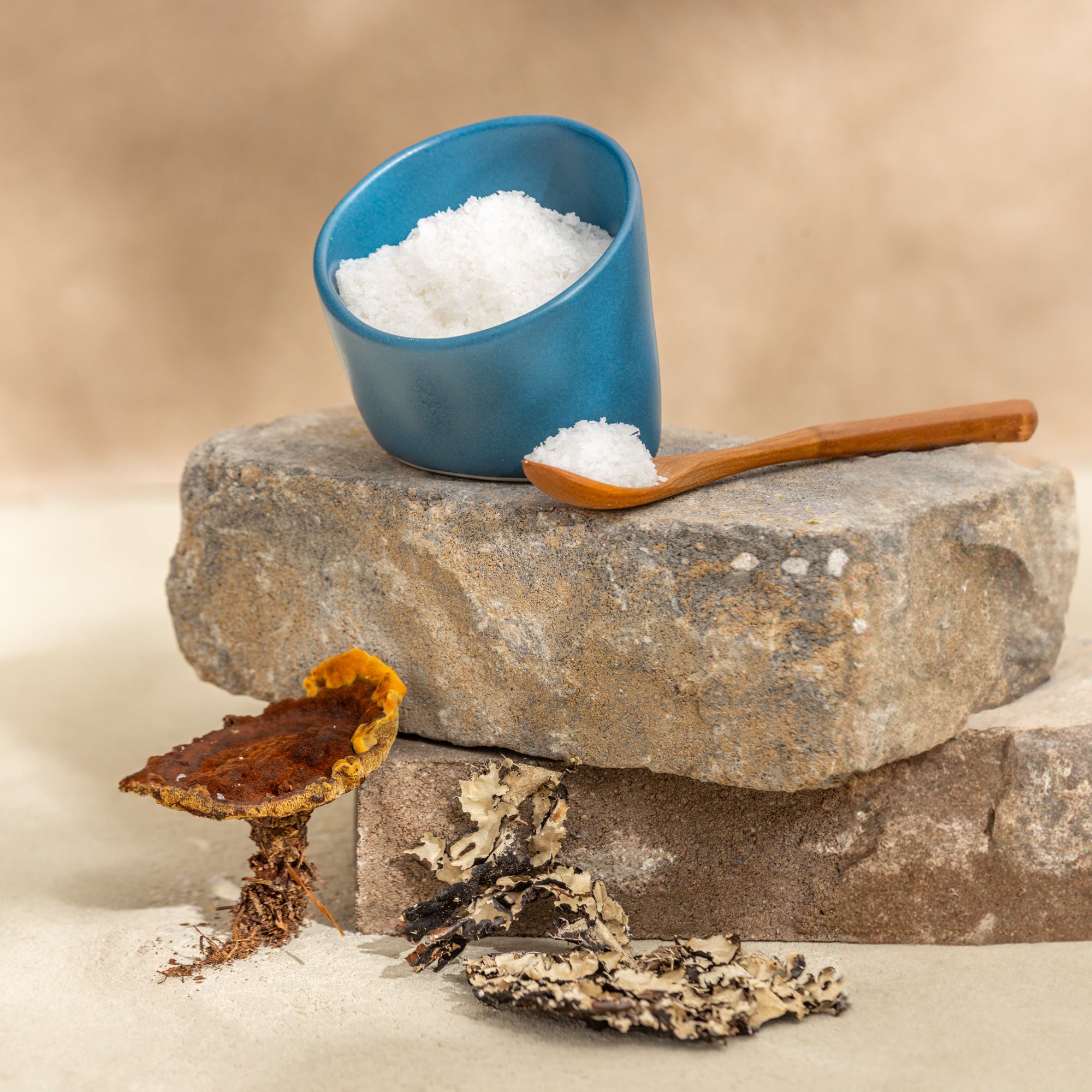 Porcelain Salt Pinch Kitchenware Haand - Atelier Saucier