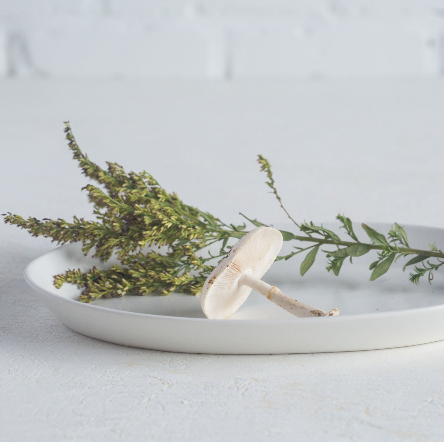 Oval Platter | 18" Platters Haand - Atelier Saucier