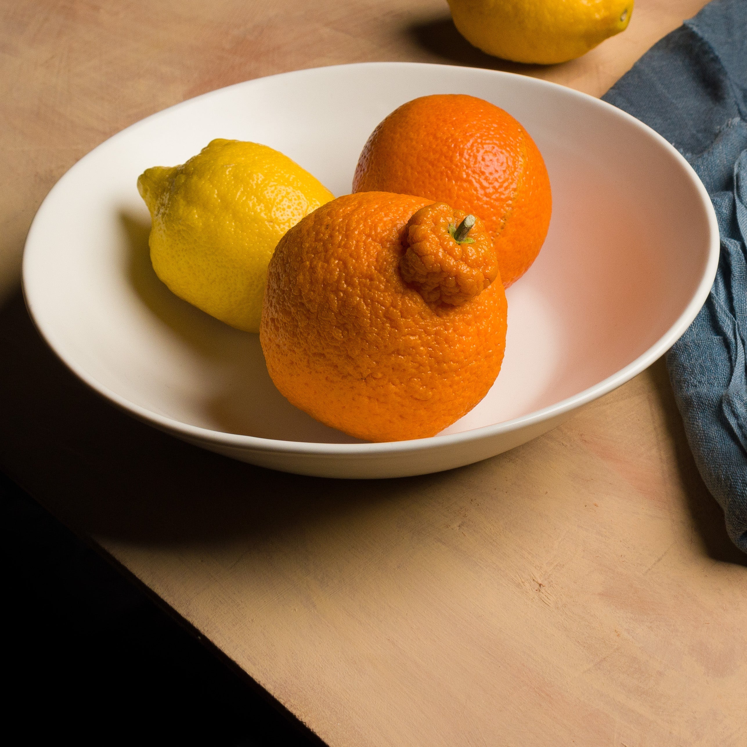 Skali Dinner Bowl Bowls Haand - Atelier Saucier