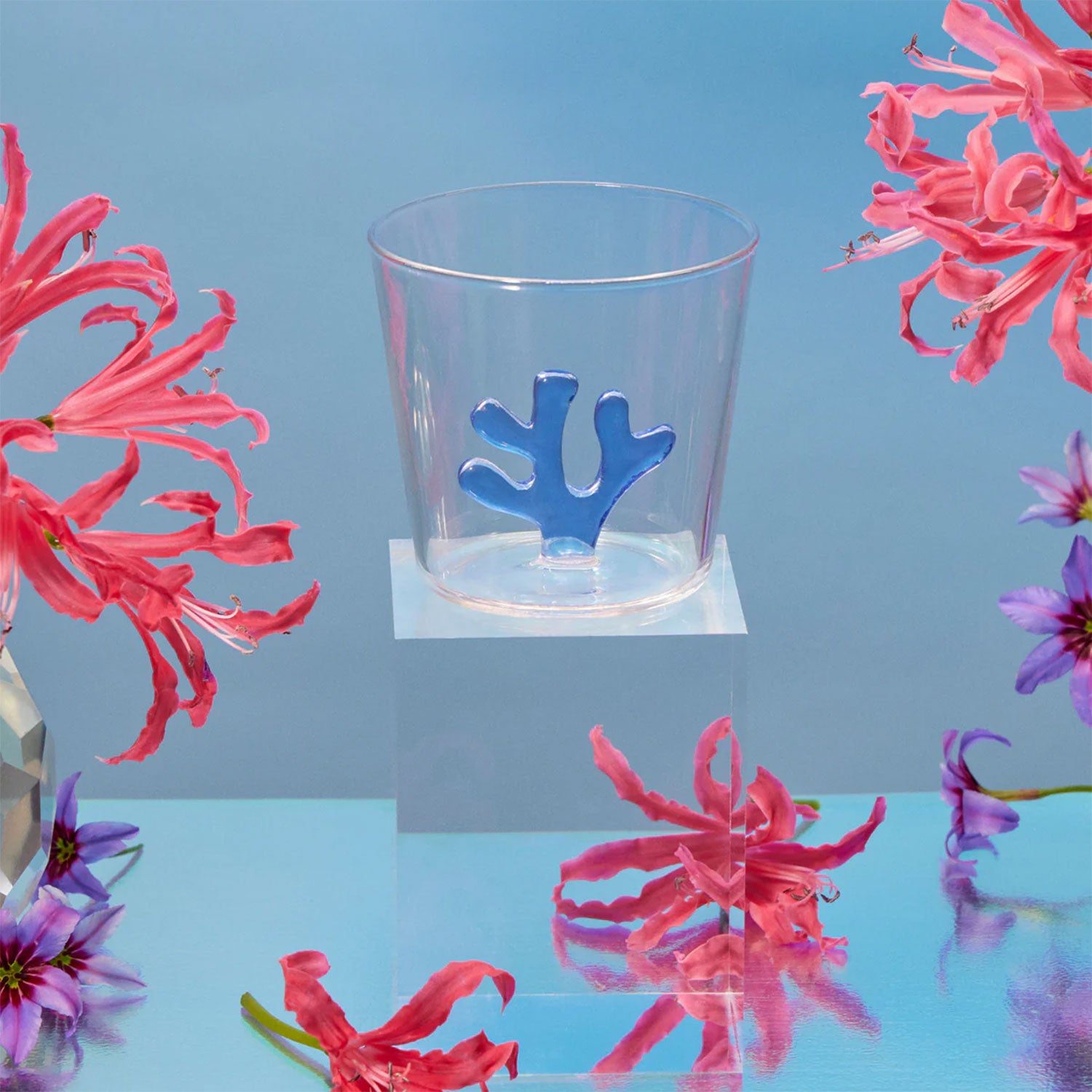 Whimsical Water Tumbler Glasses | Set of 4 Drinkware SPREZZ - Atelier Saucier
