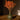 Bud Vase | Canopy Vases Felt+Fat - Atelier Saucier